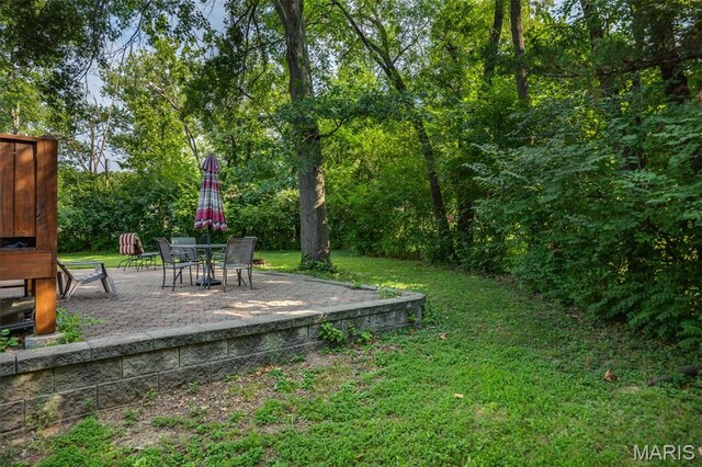 237 Valleyoak Ct, Ballwin, MO 63021 - photo 5