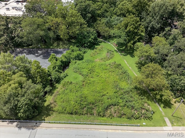 737 N Rock Hill Rd, Saint Louis, MO 63119 - photo 25