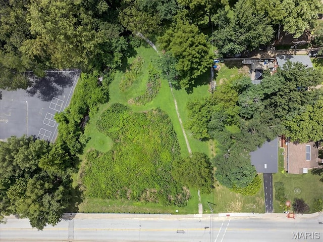 737 N Rock Hill Rd, Saint Louis, MO 63119 - photo 26