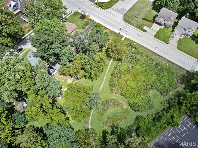 737 N Rock Hill Rd, Saint Louis, MO 63119 - photo 27