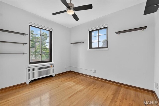 8009 Delmar Blvd Unit 1, Saint Louis, MO 63130 - photo 10
