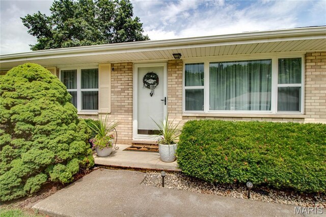 631 California Ave, Cottage Hills, IL 62018 - photo 6