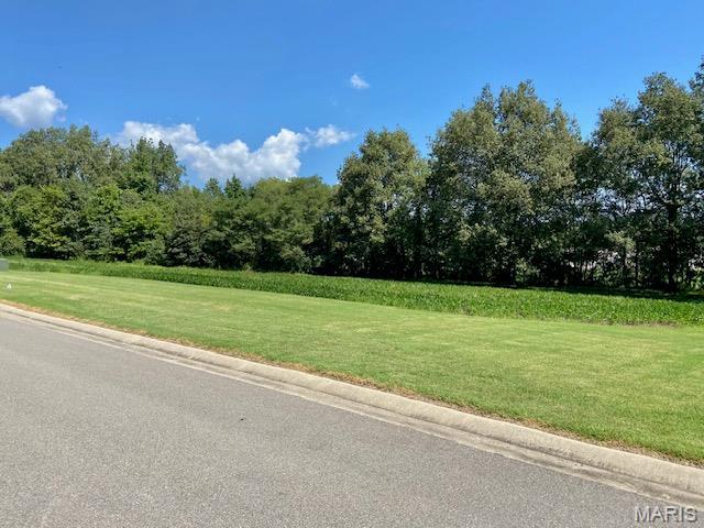 21 Timber Creek Rd, Dexter, MO 63841 - photo 3