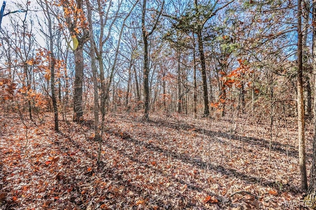 985 Calvey Church Rd, Robertsville, MO 63072 - photo 3
