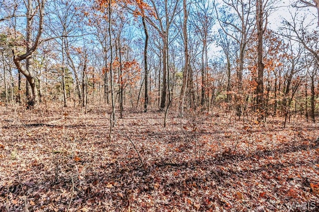 985 Calvey Church Rd, Robertsville, MO 63072 - photo 5