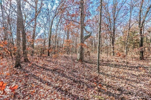 985 Calvey Church Rd, Robertsville, MO 63072 - photo 6