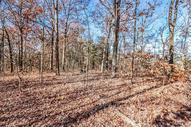 985 Calvey Church Rd, Robertsville, MO 63072 - photo 7