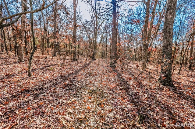 985 Calvey Church Rd, Robertsville, MO 63072 - photo 8