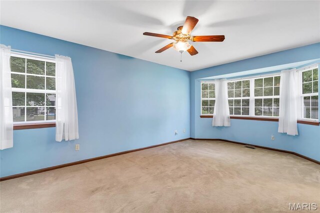 431 Sandalwood Dr, Waterloo, IL 62298 - photo 29