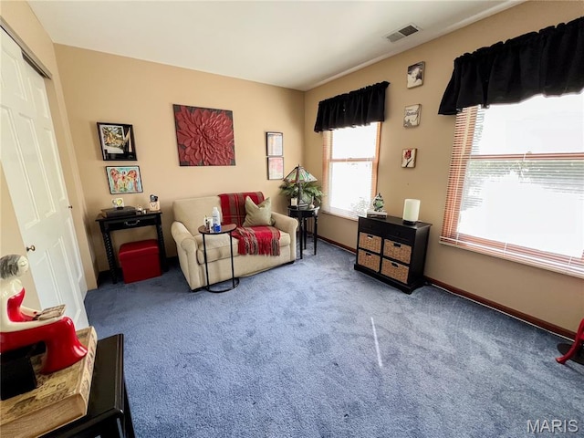 4214 Goodness Ct, Florissant, MO 63034 - photo 29