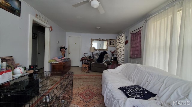 1007 S Oak St, Salem, MO 65560 - photo 8