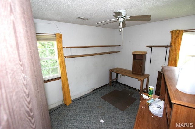 212 Heath St, Ironton, MO 63650 - photo 9