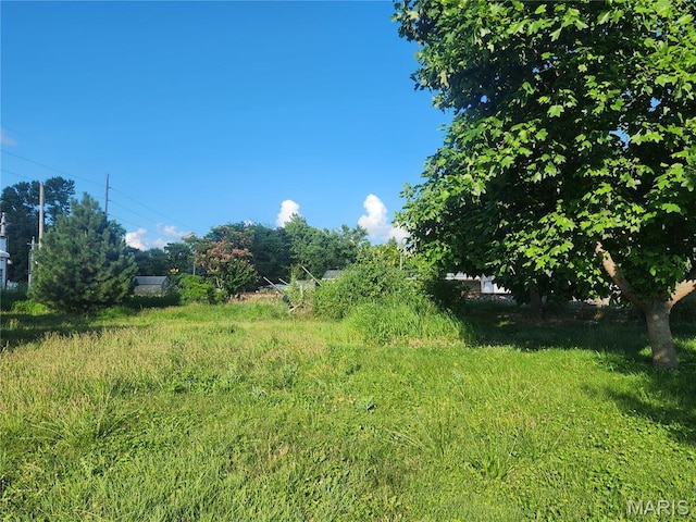 701 S Maple St, Staunton, IL 62088 - photo 9