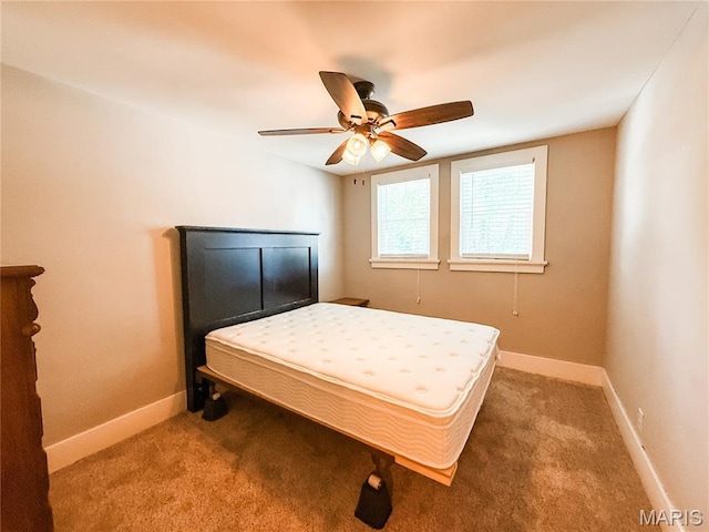 509 W Saint Louis St, Nashville, IL 62263 - photo 35