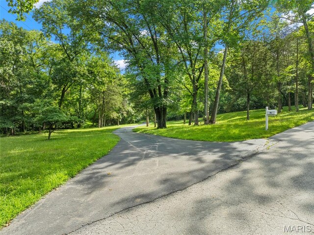 147 Coventry Valley Rd, Villa Ridge, MO 63089 - photo 50