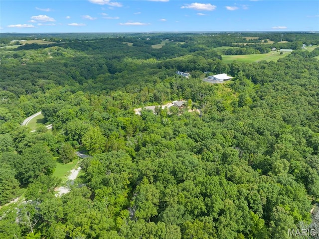 147 Coventry Valley Rd, Villa Ridge, MO 63089 - photo 40