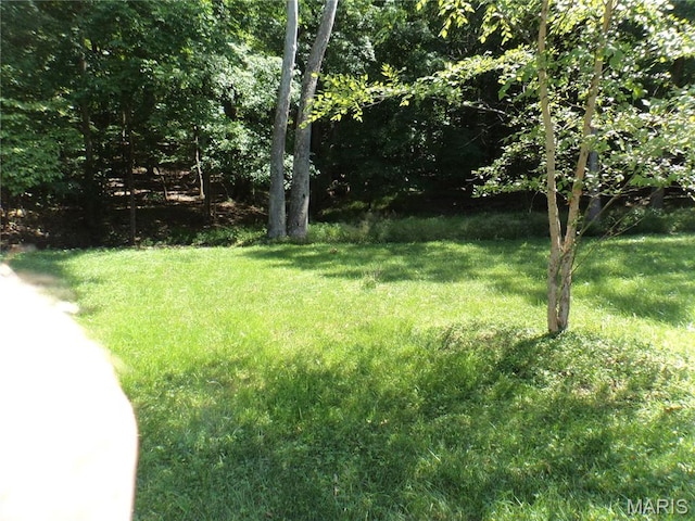 2142 Wilderness Trl, Barnhart, MO 63012 - photo 42