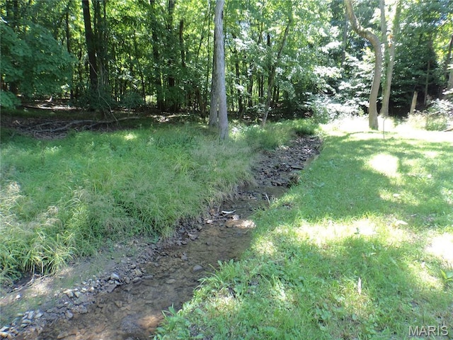 2142 Wilderness Trl, Barnhart, MO 63012 - photo 43