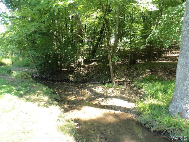 2142 Wilderness Trl, Barnhart, MO 63012 - photo 44