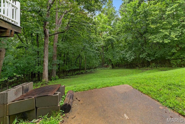 1230 Woodridge Trails Dr, Fenton, MO 63026 - photo 42