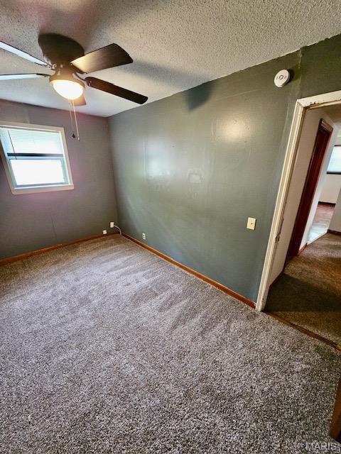 508 Helene Ave, Scott City, MO 63780 - photo 20