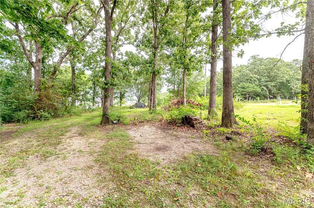 15472 County Road 1050, St James, MO 65559 - photo 12