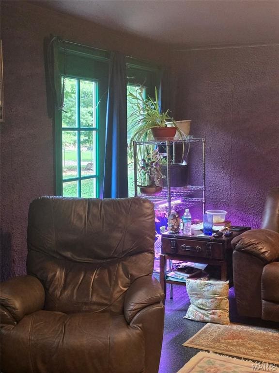 15089 State Highway 142w, Gatewood, MO 63942 - photo 38