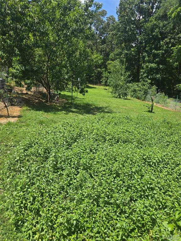 15089 State Highway 142w, Gatewood, MO 63942 - photo 55