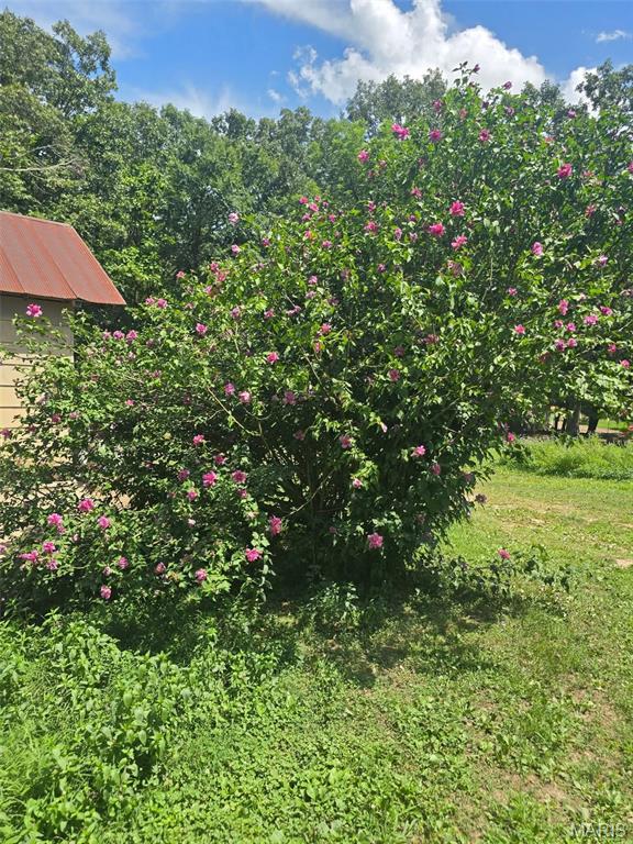 15089 State Highway 142w, Gatewood, MO 63942 - photo 56