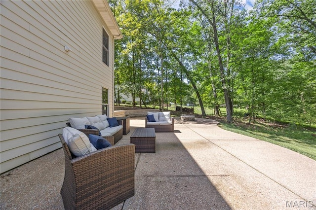 185 Timber Pines Dr, Defiance, MO 63341 - photo 32