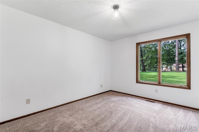 12 Hawk Forest Ct, Defiance, MO 63341 - photo 39