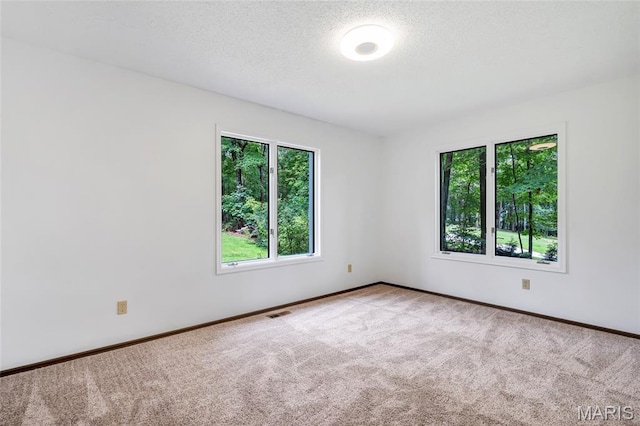 12 Hawk Forest Ct, Defiance, MO 63341 - photo 42
