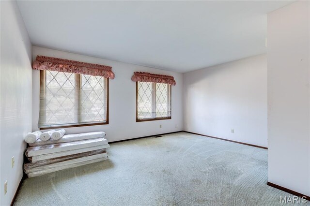 16 Riverwood Estates Blvd, Florissant, MO 63031 - photo 22