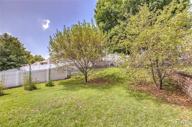 16 Riverwood Estates Blvd, Florissant, MO 63031 - photo 33