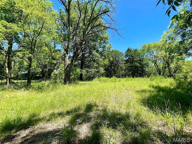 2558 Frederitzi Ln, Arnold, MO 63010 - photo 2