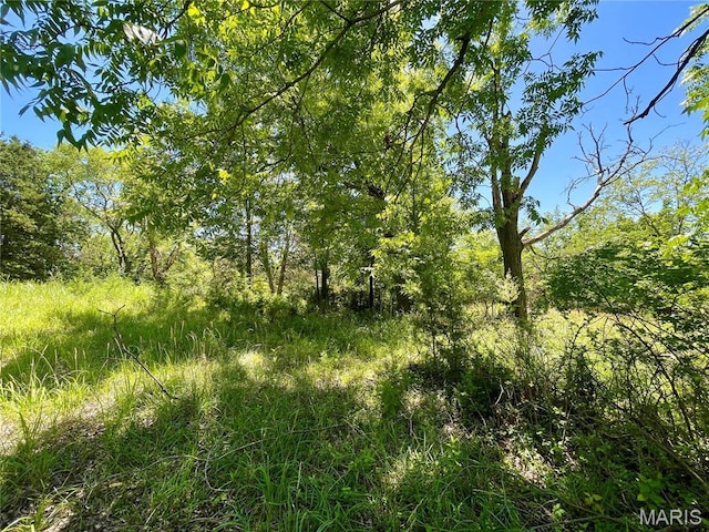 2558 Frederitzi Ln, Arnold, MO 63010 - photo 4