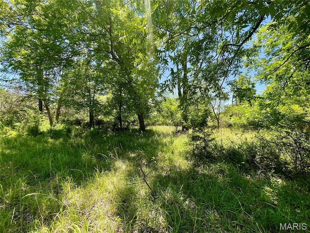 2558 Frederitzi Ln, Arnold, MO 63010 - photo 6