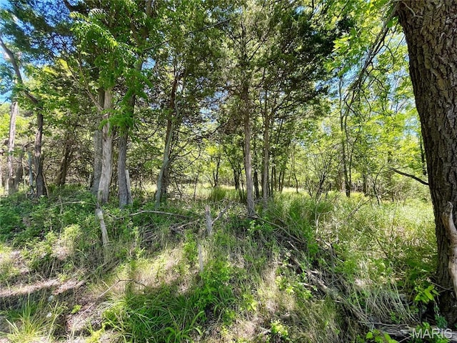 2558 Frederitzi Ln, Arnold, MO 63010 - photo 9