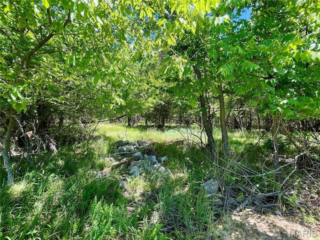 2558 Frederitzi Ln, Arnold, MO 63010 - photo 11