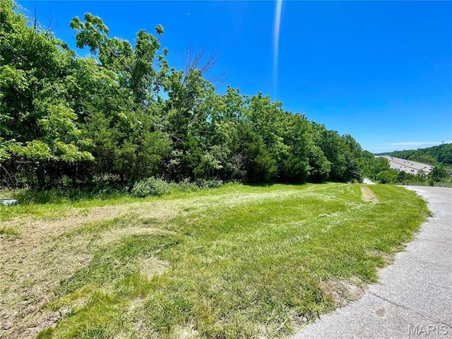 2558 Frederitzi Ln, Arnold, MO 63010 - photo 13