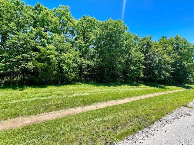 2558 Frederitzi Ln, Arnold, MO 63010 - photo 14