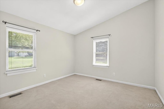 3019 Cedar Ridge Ln, Waterloo, IL 62298 - photo 17
