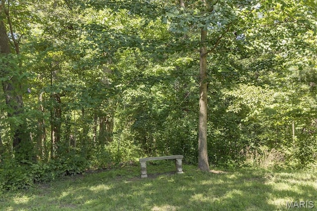 3019 Cedar Ridge Ln, Waterloo, IL 62298 - photo 31