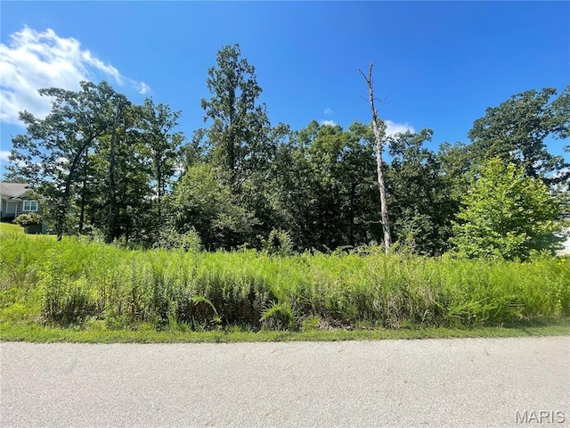 000 Timberlake Trl, Subdivision Poplar Bluff, MO 63901 - photo 2