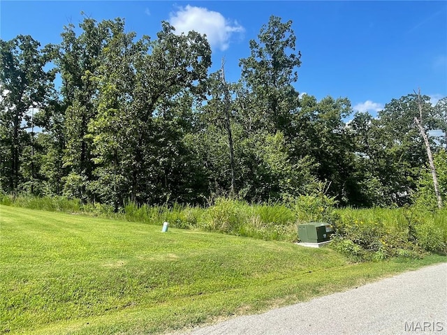 000 Timberlake Trl, Subdivision Poplar Bluff, MO 63901 - photo 3