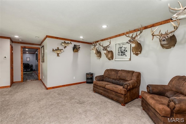 7154 Ponderosa Rd, Duquoin, IL 62832 - photo 35