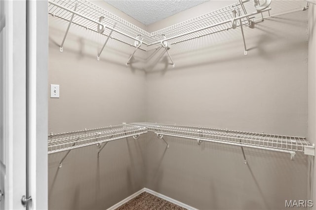 927 Claytonbrook Dr Unit 3, Ballwin, MO 63011 - photo 6