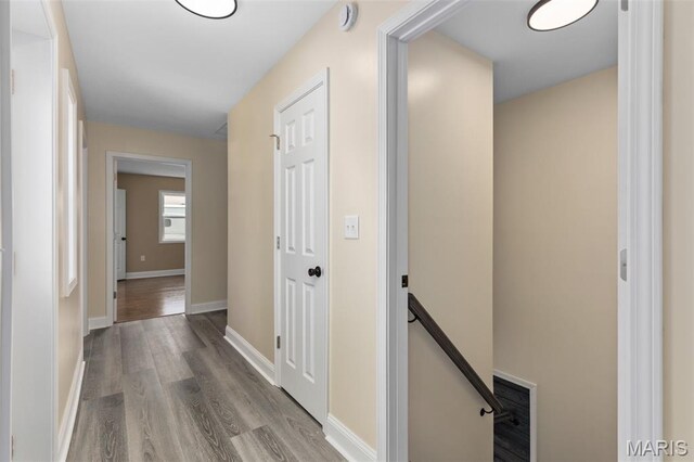 305 E Hauser St, Litchfield, IL 62056 - photo 21