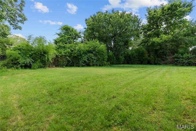 8540 Elsa Ave, Affton, MO 63123 - photo 53