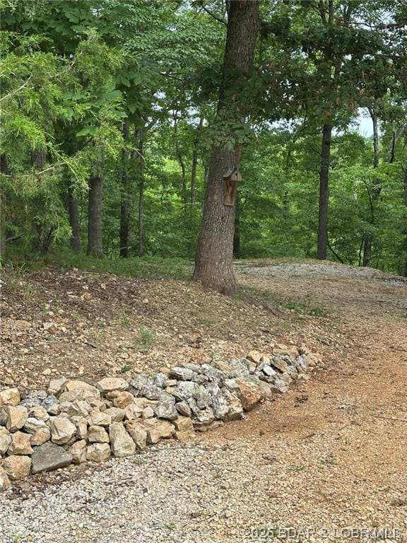 187 Channel Rd, Greenview, MO 65037 - photo 3
